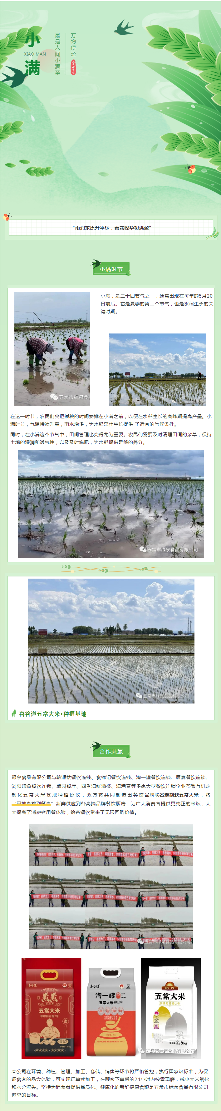 今日小滿，宜萬物生長！五常大米插秧的好時(shí)節(jié).png